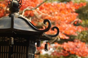 滋賀で紅葉を車椅子でも見に行きたい 駅近の名所と見頃シーズンは ぱんぱっちの世渡り散歩