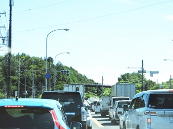 河津桜まつりへ車は混雑？渋滞避けるには途中から電車プランはどう？