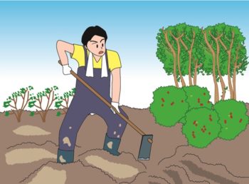土を柔らかくする道具5選 これで固い土もホカホカにできる