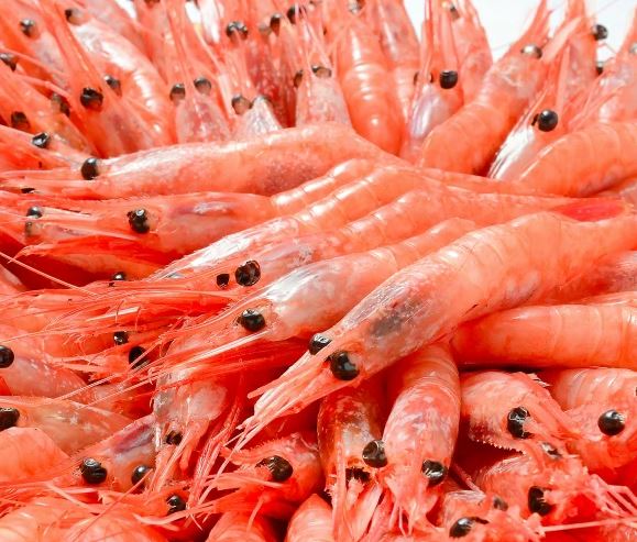 甘エビ通販訳あり人気ランキング!福井越前産でむき身・送料無料で安いお取り寄せ情報